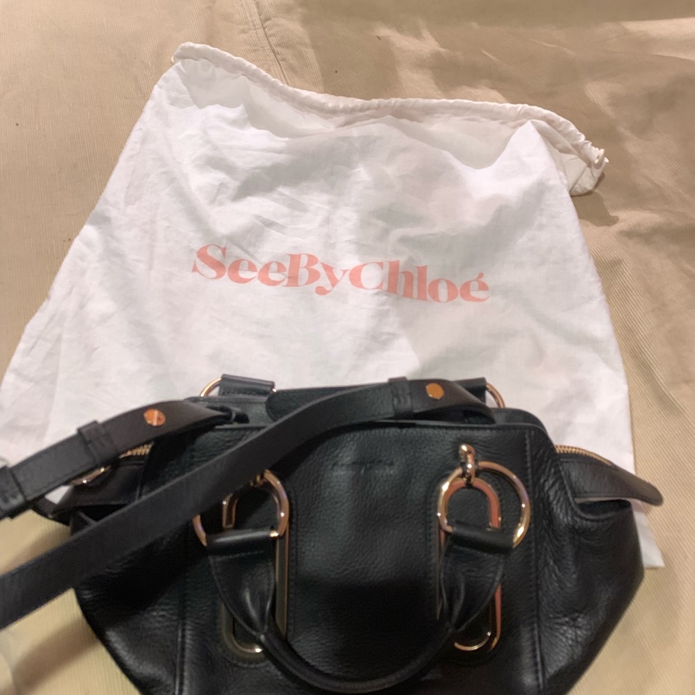 Brand New See by Chloe Leather Bag